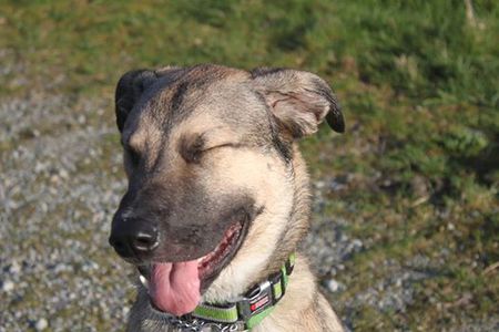 Entry image for Justice Timberlake. Clicking this image will show a larger photo