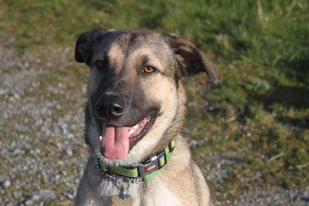 Entry image for Justice Timberlake. Clicking this image will show a larger photo