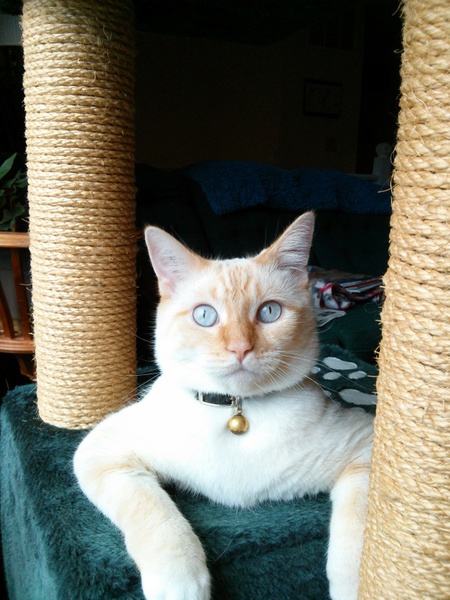 Entry image for Maggie. Clicking this image will show a larger photo