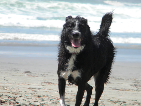 Entry image for Mercedes. Clicking this image will show a larger photo