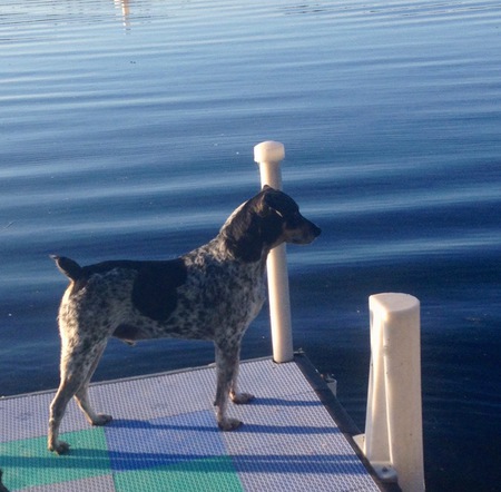 Entry image for Buddy. Clicking this image will show a larger photo