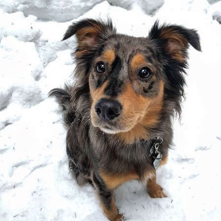 Entry image for Fraser. Clicking this image will show a larger photo