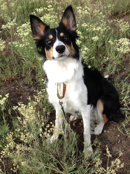 Entry image for Deja Vu. Clicking this image will show a larger photo