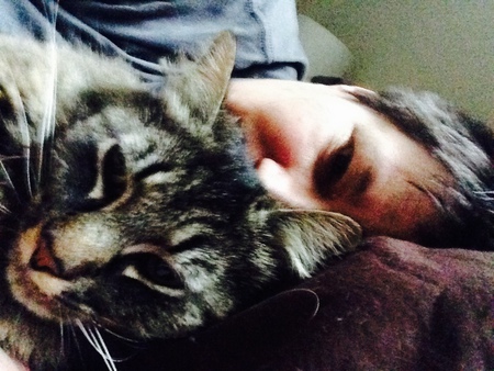 Entry image for Cello. Clicking this image will show a larger photo