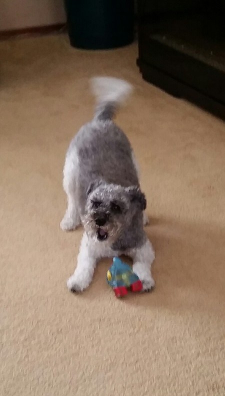 Entry image for Heidi. Clicking this image will show a larger photo