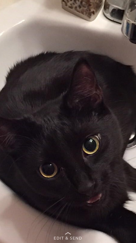 Entry image for Cash. Clicking this image will show a larger photo