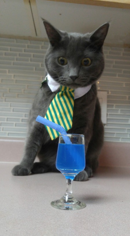 Entry image for Korra. Clicking this image will show a larger photo