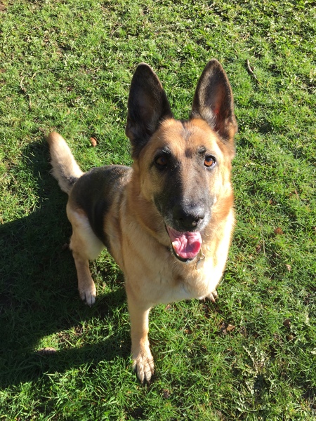 Entry image for Betty. Clicking this image will show a larger photo