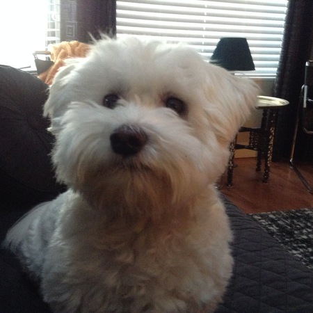 Entry image for Beanz. Clicking this image will show a larger photo