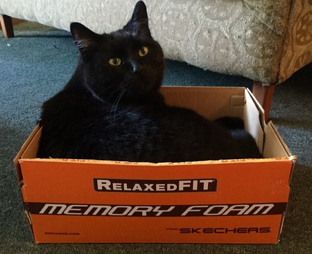 Entry image for Glenny . Clicking this image will show a larger photo