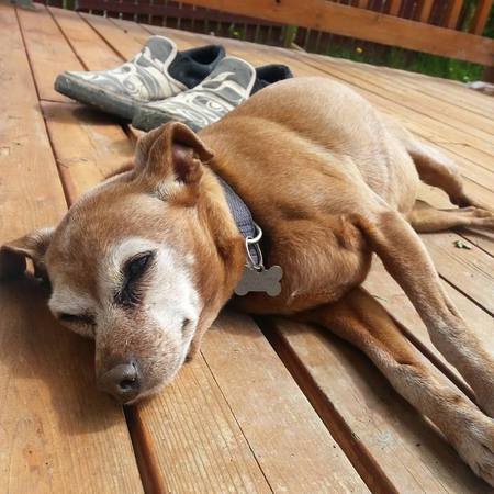 Entry image for Nelly. Clicking this image will show a larger photo