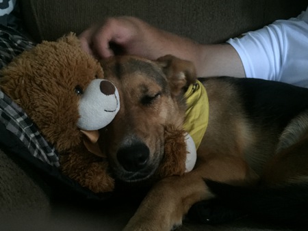 Entry image for Kaira. Clicking this image will show a larger photo