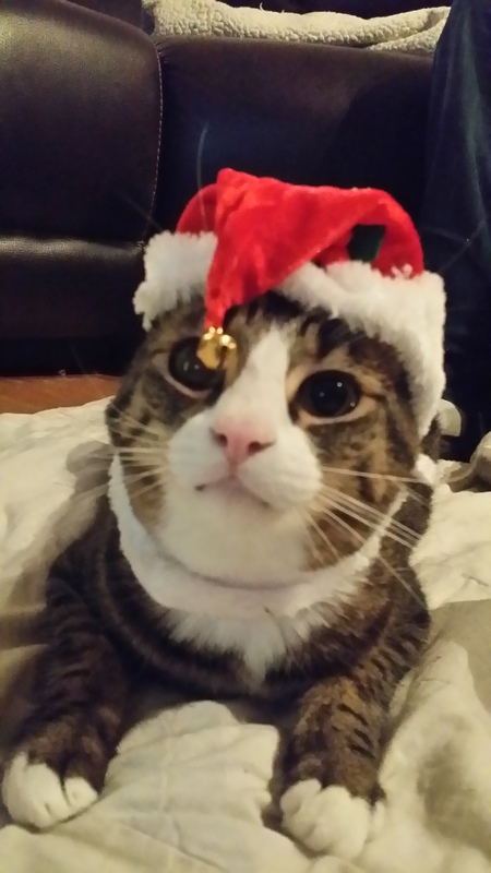 Entry image for Doyle. Clicking this image will show a larger photo