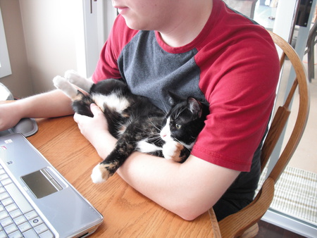 Entry image for Calli. Clicking this image will show a larger photo