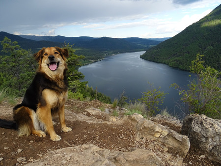 Entry image for Justyna. Clicking this image will show a larger photo