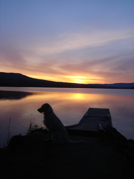 Entry image for Annie. Clicking this image will show a larger photo