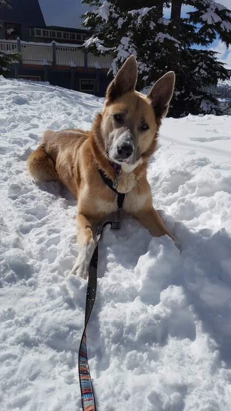 Entry image for Jojo Cupcake. Clicking this image will show a larger photo