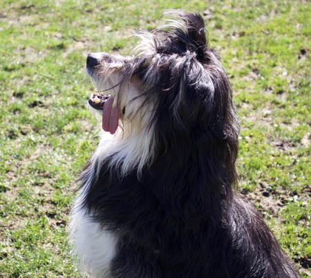 Entry image for GeorgeMichael . Clicking this image will show a larger photo