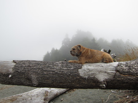 Entry image for Lila Spooner. Clicking this image will show a larger photo