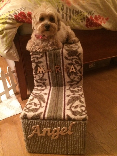 Entry image for Maria. Clicking this image will show a larger photo