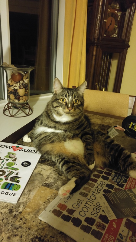 Entry image for Kent. Clicking this image will show a larger photo