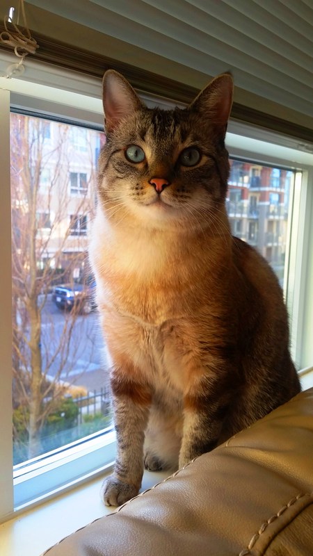 Entry image for Bug. Clicking this image will show a larger photo