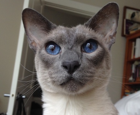 Entry image for Leo Richardson . Clicking this image will show a larger photo