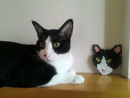 Entry image for Wu Kong. Clicking this image will show a larger photo