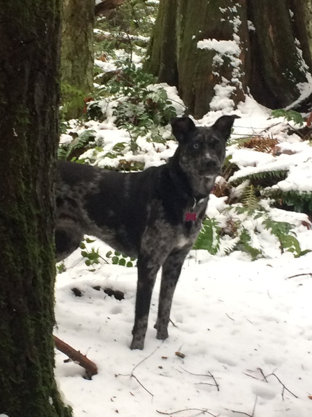 Entry image for Kacey. Clicking this image will show a larger photo