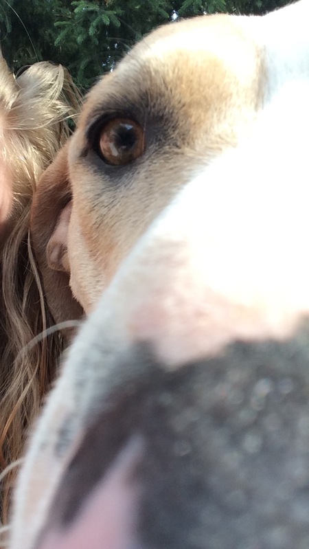 Entry image for Shayla. Clicking this image will show a larger photo