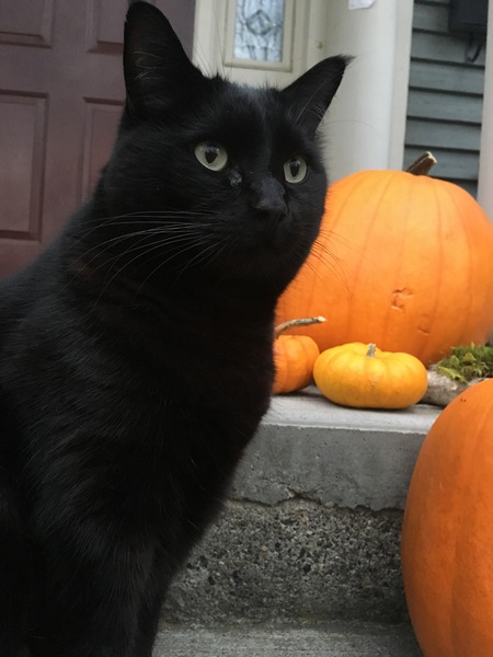 Entry image for Bruce. Clicking this image will show a larger photo