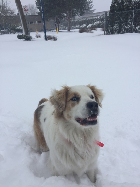 Entry image for Georgia. Clicking this image will show a larger photo