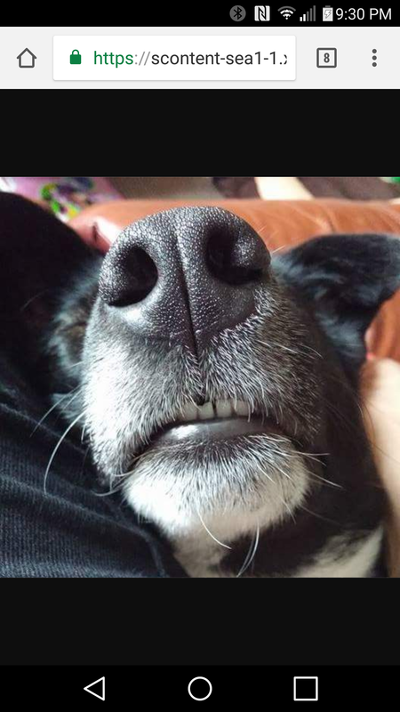 Entry image for Kaija. Clicking this image will show a larger photo