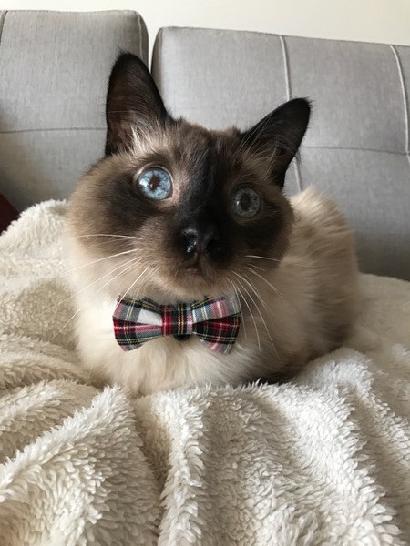 Entry image for Kenny. Clicking this image will show a larger photo