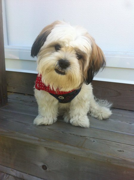 Entry image for Charlie. Clicking this image will show a larger photo