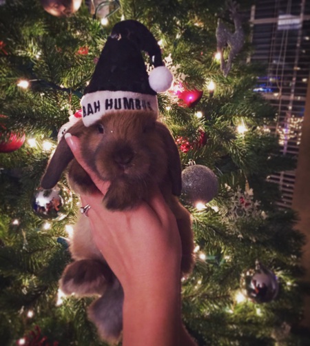 Entry image for Carl. Clicking this image will show a larger photo