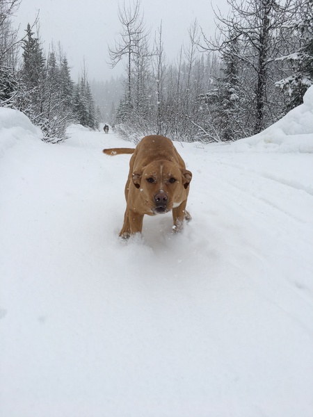 Entry image for Azu. Clicking this image will show a larger photo