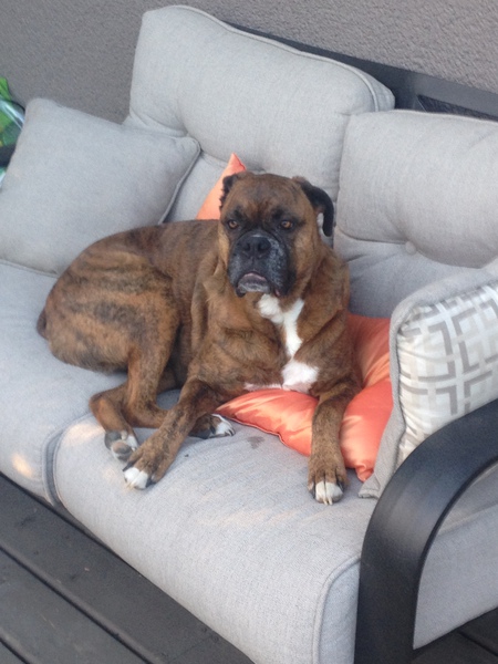 Entry image for Ruby . Clicking this image will show a larger photo