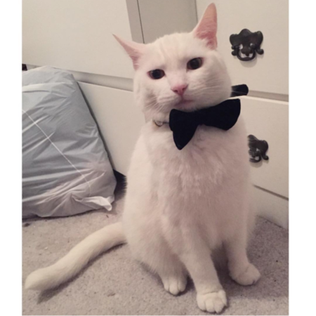 Entry image for Sheldon. Clicking this image will show a larger photo