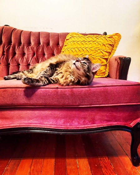 Entry image for Precious. Clicking this image will show a larger photo