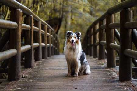 Entry image for Data. Clicking this image will show a larger photo