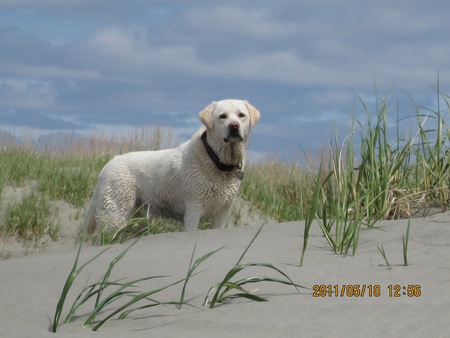 Entry image for Katie. Clicking this image will show a larger photo