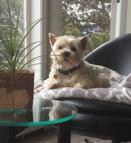 Entry image for Hana. Clicking this image will show a larger photo