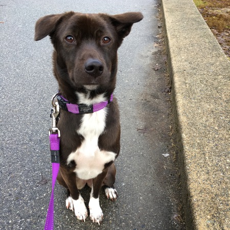 Entry image for Margot Tenenbaum. Clicking this image will show a larger photo