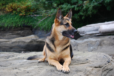 Entry image for Pheebs. Clicking this image will show a larger photo