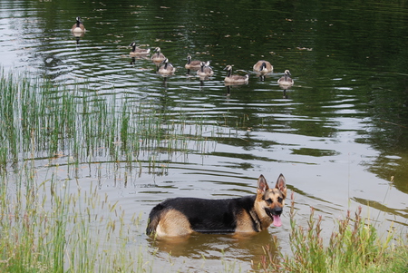 Entry image for Pheebs. Clicking this image will show a larger photo