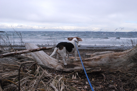 Entry image for Trip. Clicking this image will show a larger photo