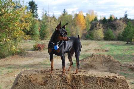 Entry image for TAYA. Clicking this image will show a larger photo