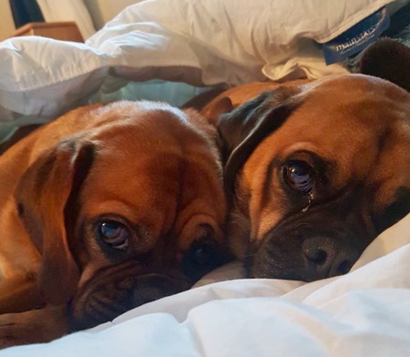 Entry image for Harley and Frisco . Clicking this image will show a larger photo