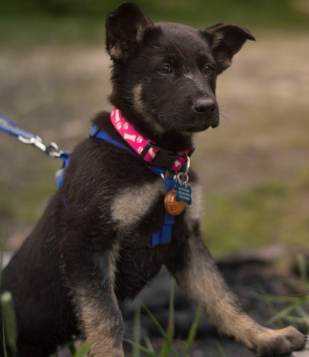 Entry image for KC. Clicking this image will show a larger photo